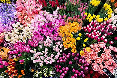 《异星工厂》销量突破350万 计划为Switch添加键盘鼠标支持