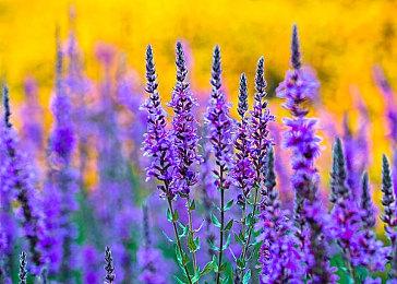 KK官方对战平台《开弓没有回头箭》，新赛道生存爽图震撼上线！