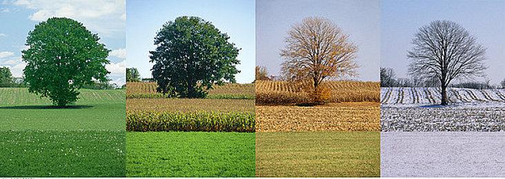 海上狼人杀《恐惧饥饿》宣布将停运 12月初终止销售